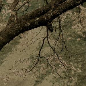 再靠近也像隔着千里