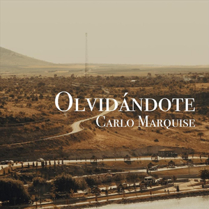 Olvidándote