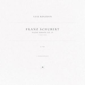 Piano Sonata No. 21 in B-Flat Major, D. 960: II. Andante sostenuto