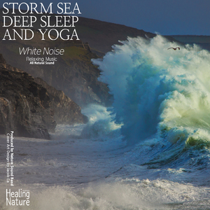 면접을 앞두고 불안한 마음을 잠재워 주는 파도소리 (팀 말리부)