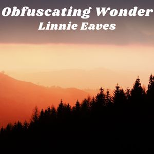 Obfuscating Wonder