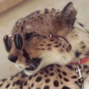 New agge (deep phonk）