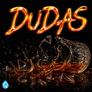 DUDAS