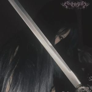 girlz + swordz (feat. PXRNSTAR)