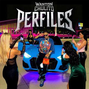 Perfiles