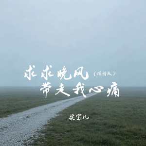 求求晚风带走我心痛(深情版)