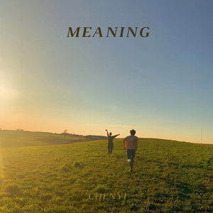 MEANING