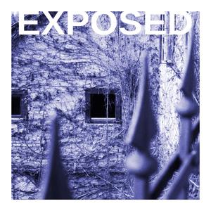 Srne (feat. Neža Okorn)