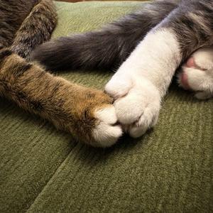 i walk this earth all by myself