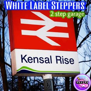 Steppers (Raz Ruff Mix A SIDE)