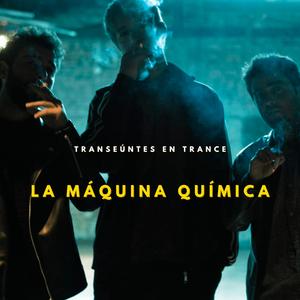 Anémonas en el patio