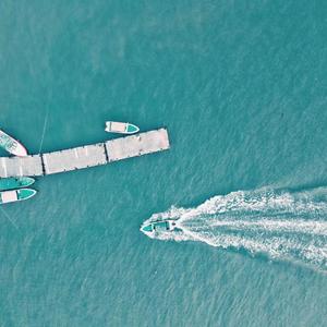 莉莉安（翻自 宋冬野）