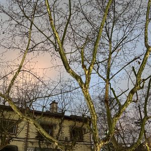 寂寞的恋人啊(cover-莫文蔚)