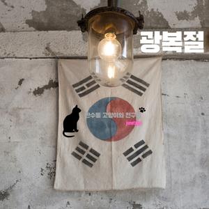 태극기 휘날리며