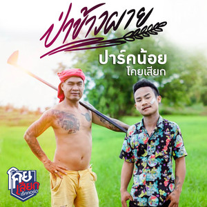 ป่าข้าวผาย