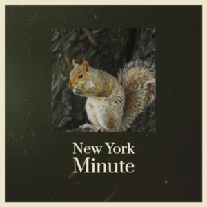 BreakingGround NoDrumsNoBass