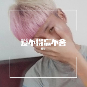 爱不得忘不啥（DJ版）