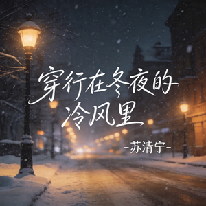 穿行在冬夜的冷风里