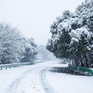 不下雪的广东 (Cover 广东雨神)