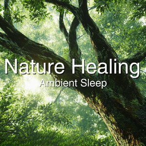 癒しのギターとα波効果 深い眠りに落ちる睡眠用ヒーリングbgm「セロトニン」で睡眠の質向上 (自律神経を整える睡眠用 森 鳥)