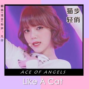 猫步轻俏（翻自 AOA）