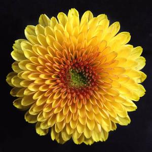 忽然之间（Cover 莫文蔚）