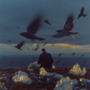 Spring Flowers（春天之花）