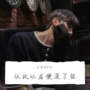 从此以后便没了你(纯音乐)