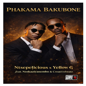 Phakama Bakubone (feat. Ntokaziyasembo & Creativebeatz)