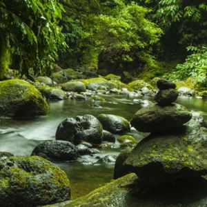 幻想即兴曲（欢快钢琴曲）