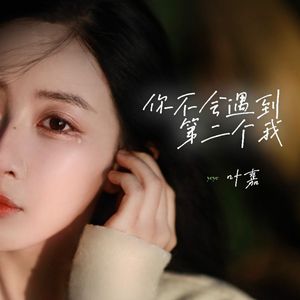 你不会遇到第二个我