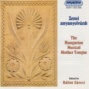 Lehullott a Jezus vere (Jesus' blood has been shed)