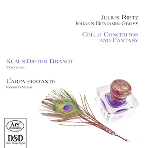 Johann B. Gross - Concerto in B flat minor for Cello and Orchestra - I. Alleg...