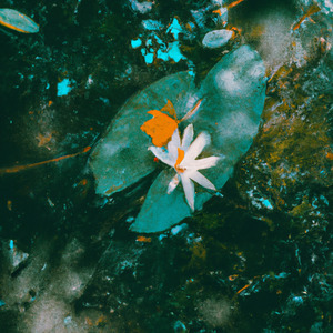 Quando Chover, Lembre de Mim