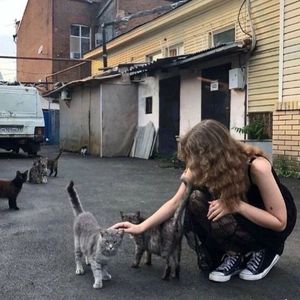 [FREE] "Dusk"-Shoegaze Guitar Type Beat