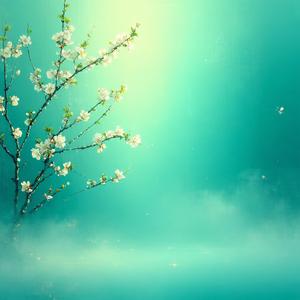 闲居偶吟招郑庶子皇甫郎中