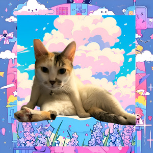 Hustler Kitty