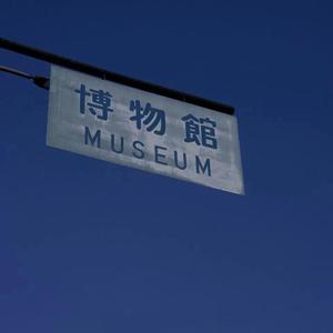 惊怂