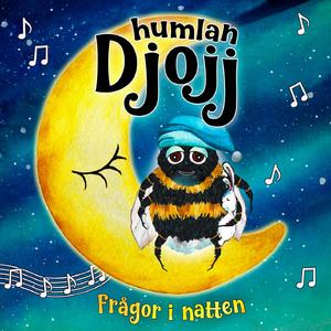 Frågor i natten