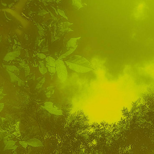 Siento que no siento