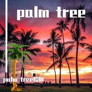 Palm tree棕榈树