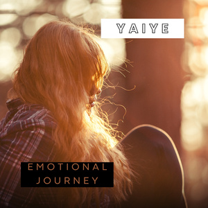 Emotional journey