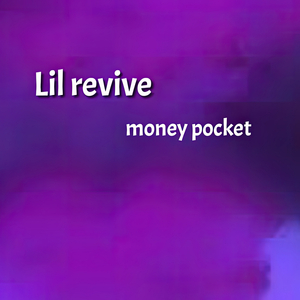Money Pocket