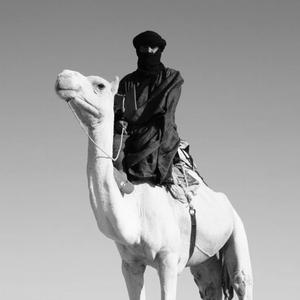 Camel