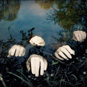 waterlogged window corpse