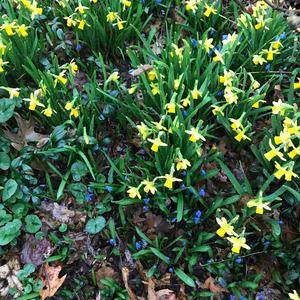 March 2021 Worm Moon Miniature: The Rains Wake the Worms