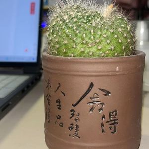 《舍得》(Prod by Young Loui$）