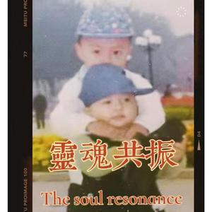 灵魂共振