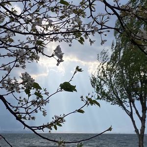 我会忘了你(prod Lyoung)