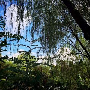 说好一起走到最后